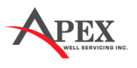 Apex Well Servicing Inc logo